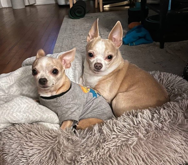 Bonded Pair Milo & Lola
