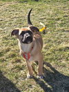 Peter - Photo 3