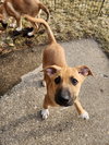 Thumper - Photo 3