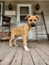 Thumper - Photo 1