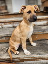 Thumper - Photo 5