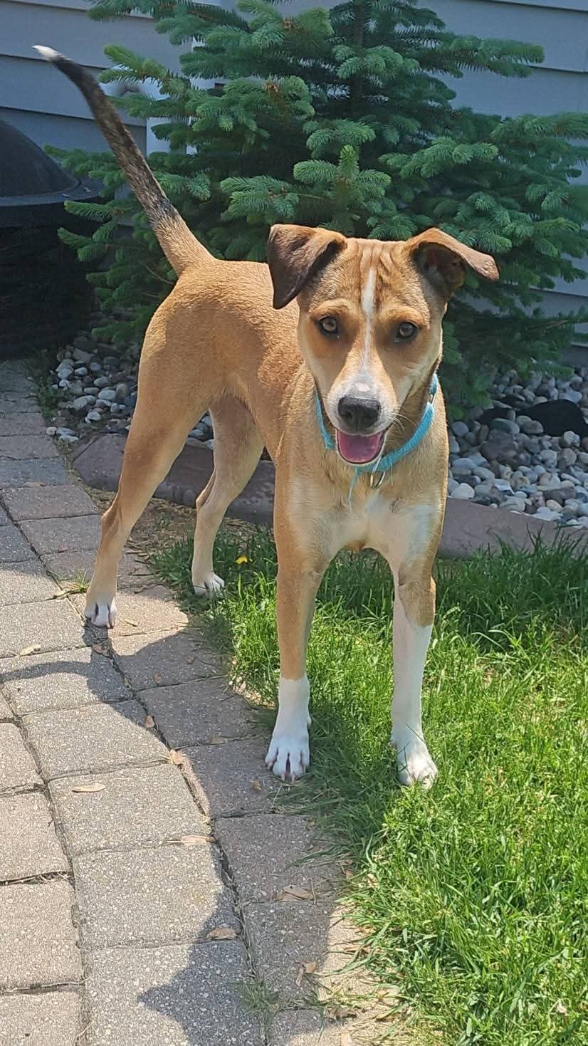Fenton