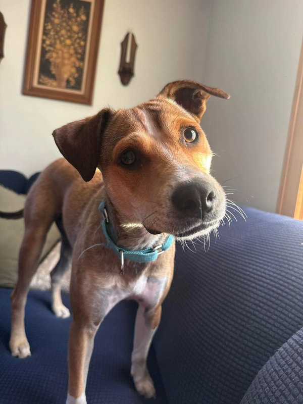 Fenton