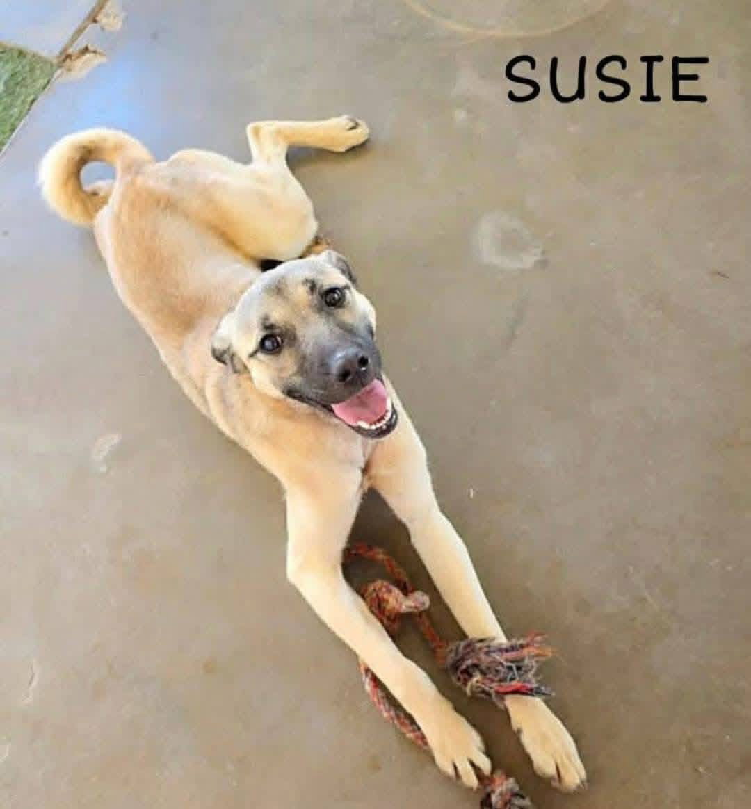Susie