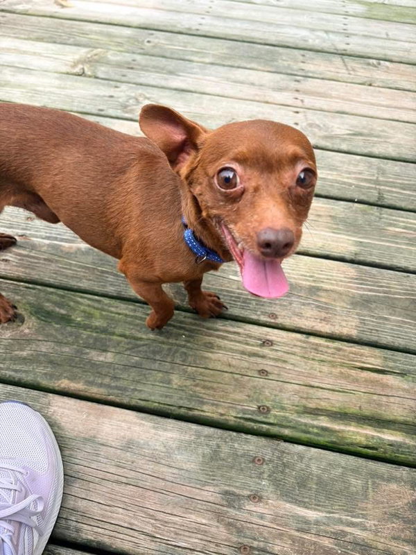 Eugene