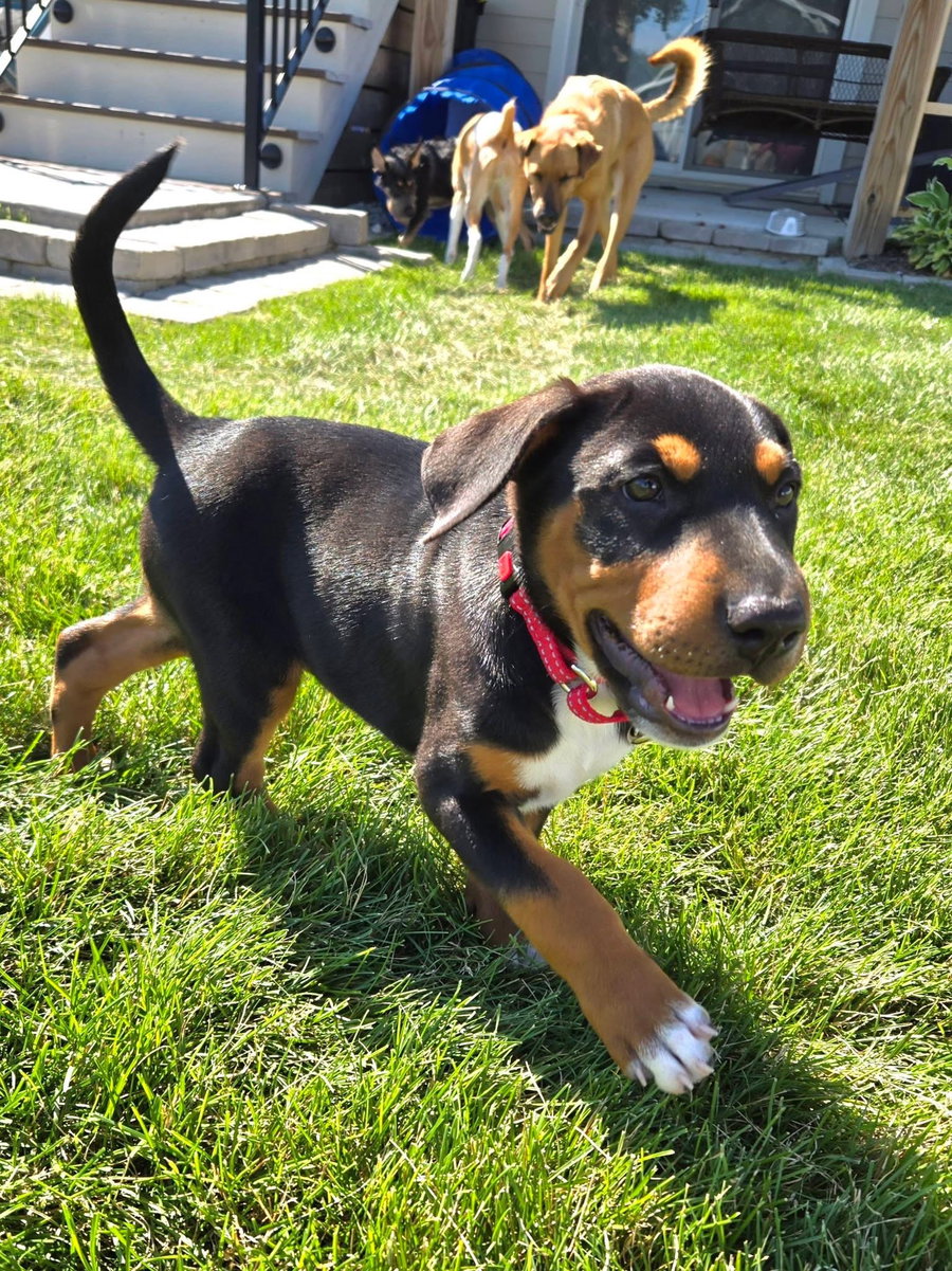 Sam