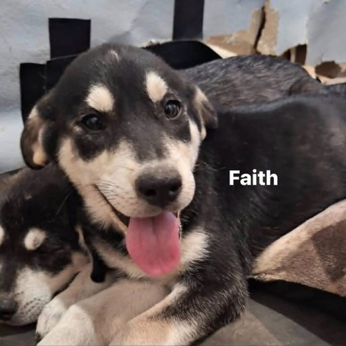 Faith