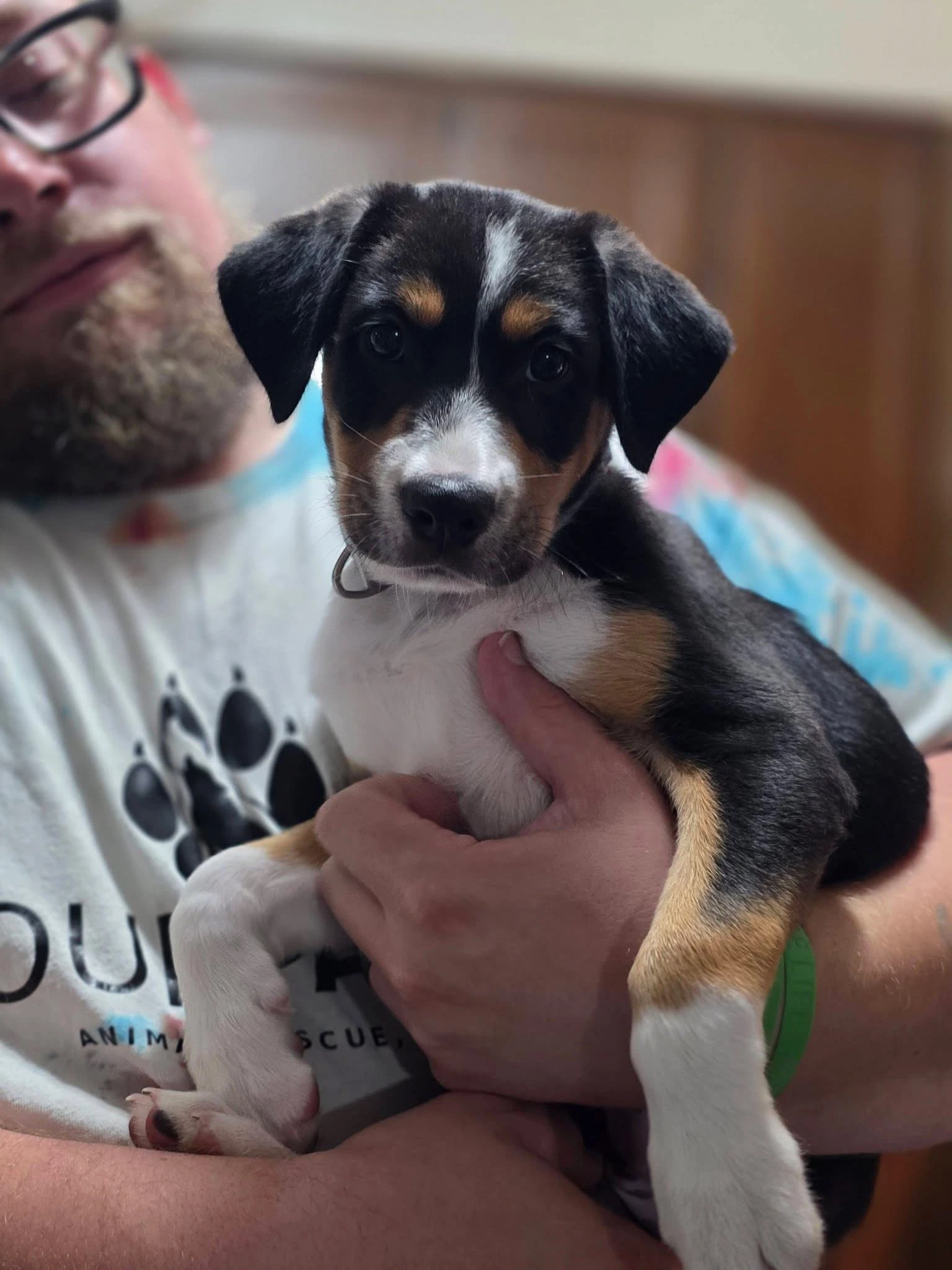Pippa