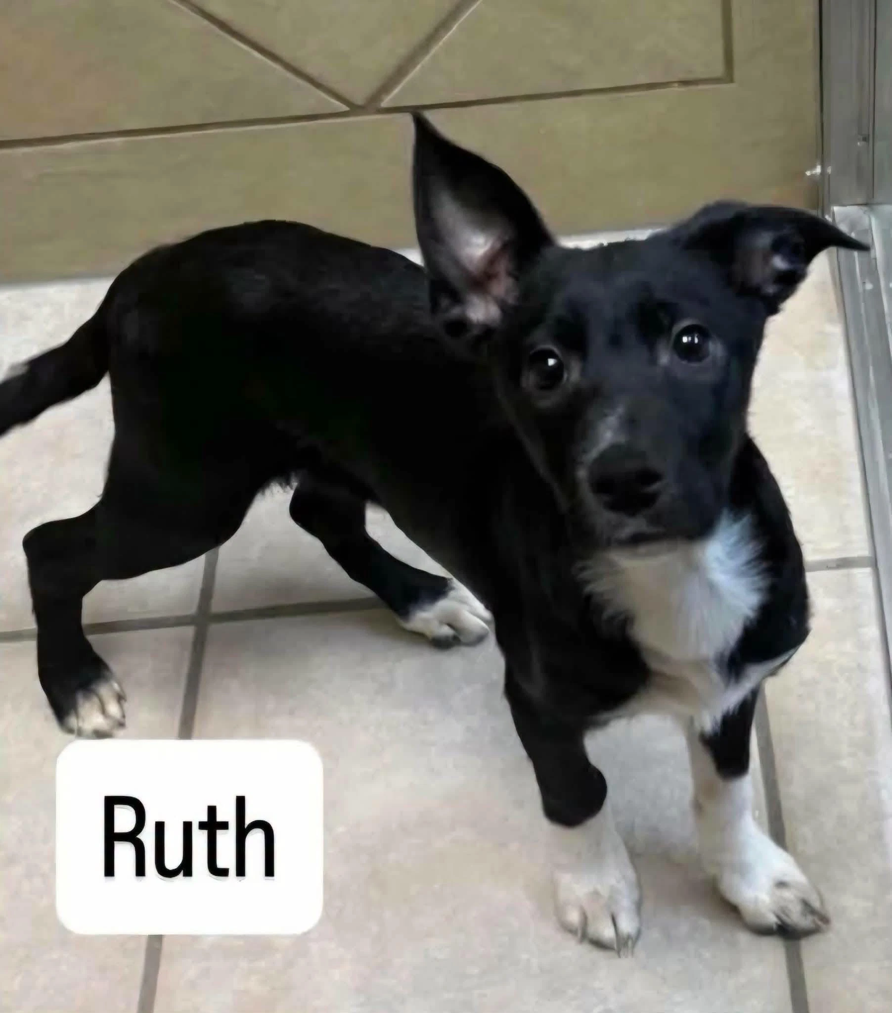 Ruth