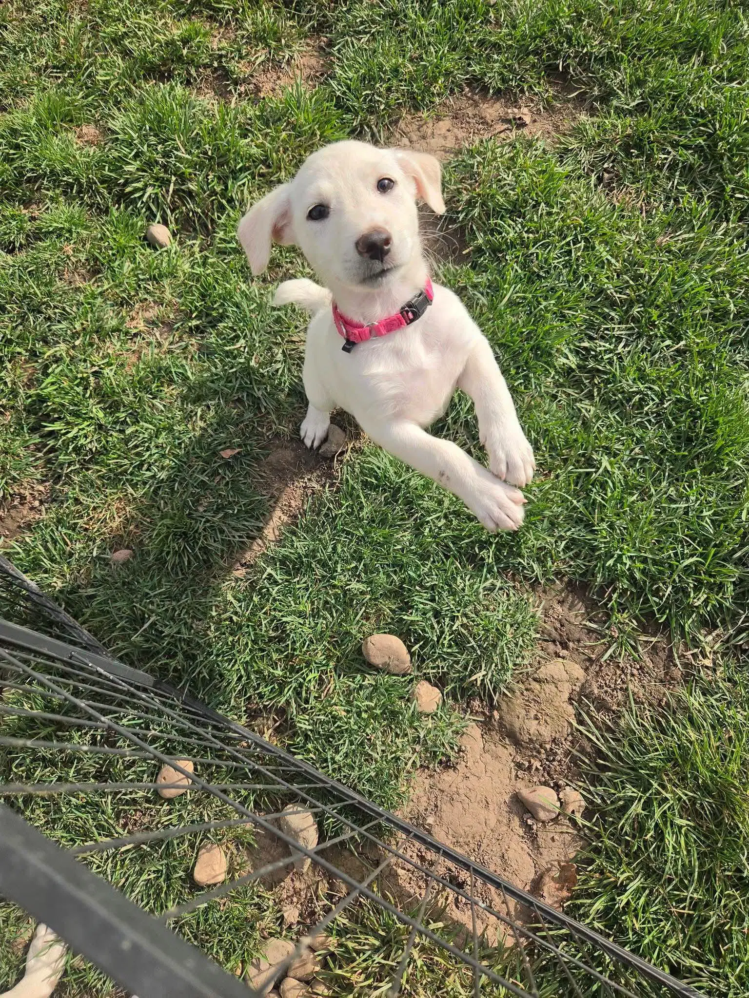 Millie image 2