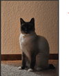 Almond