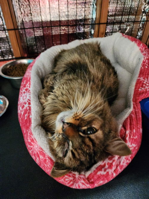 Winnie
