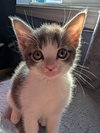 Eugene