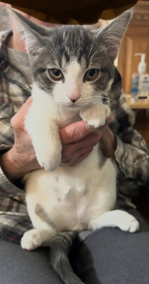Eugene
