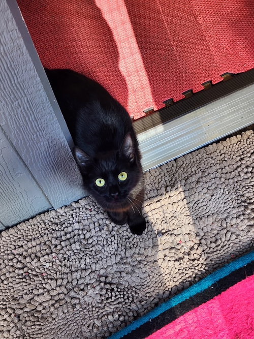 Shadow