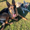 Chance - Photo 2