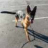 Chance - Photo 3