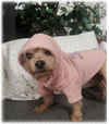 adoptable Dog in  named Emme