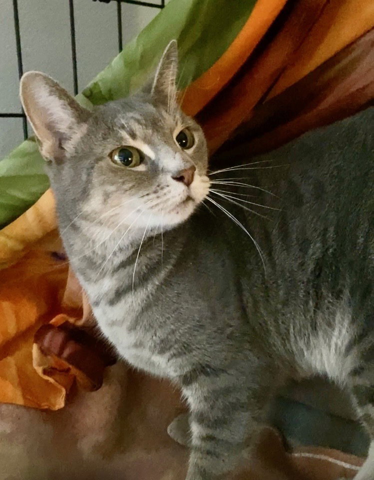 Max