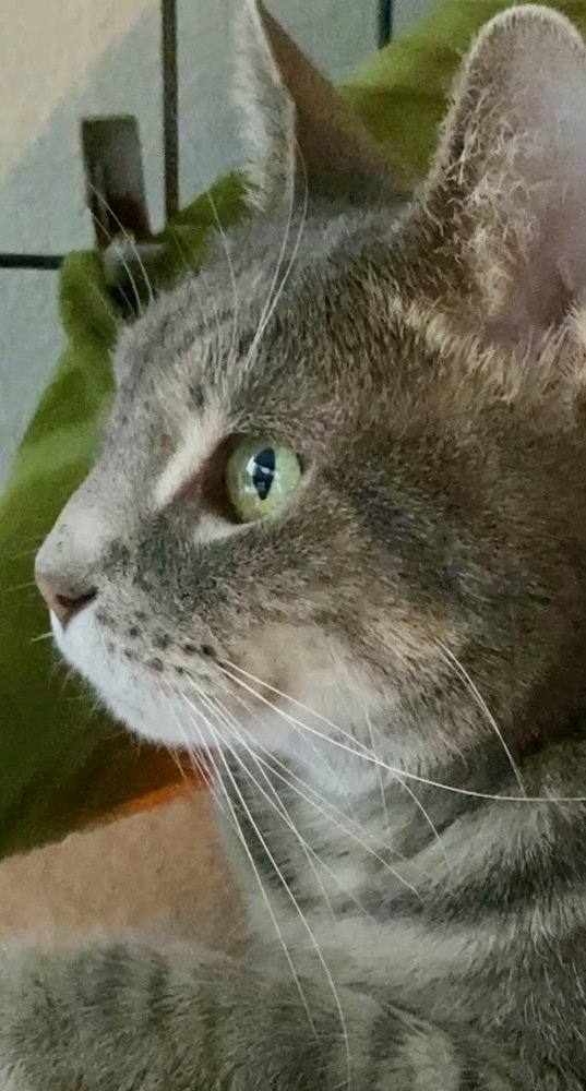 Max