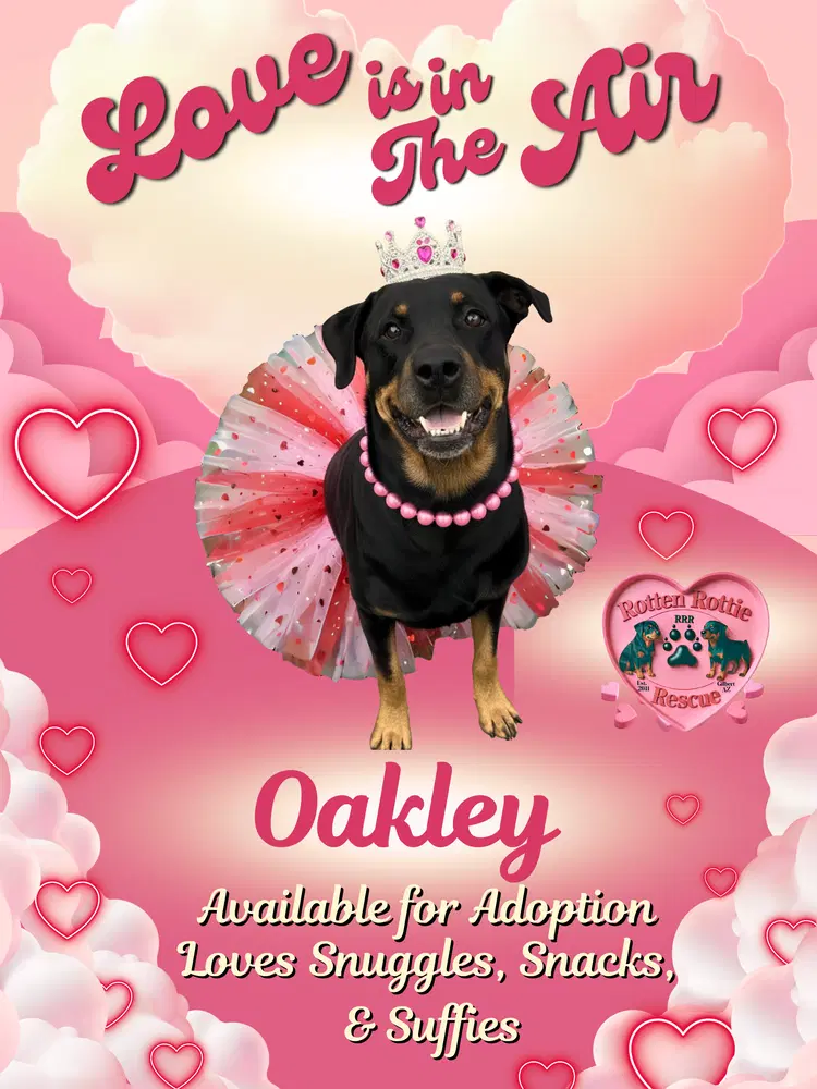 Oakley image 2