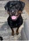 Kona - Photo 3