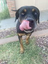 Maxwell - Photo 3
