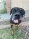 Maxwell - Photo 4