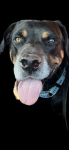 Maxwell - Photo 3