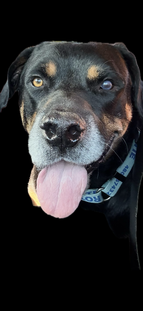 Maxwell photo 3