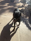 Jasmine - Photo 3