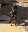 Jasmine - Photo 4