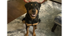 Mona - Photo 1