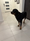 Luke 2021 - Photo 3