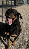 Matilda - Photo 4