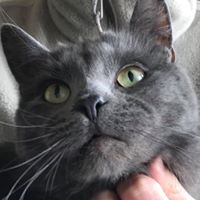 Juniper
