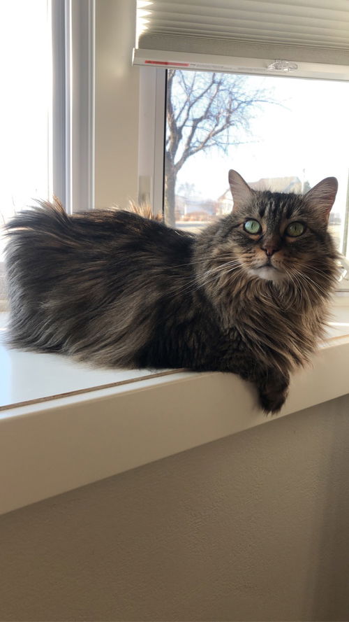 Skye