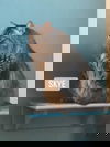 Skye