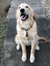 Skye