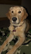 Skye