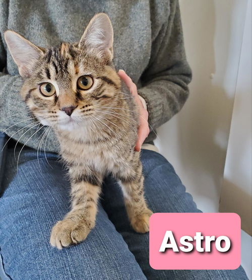 Astro