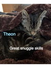 Theon