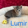 Lumir