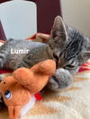 Lumir