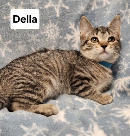 Della