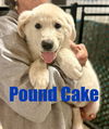 Pound Cake