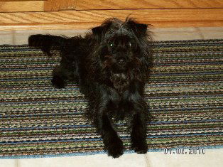 Jake (Courtesy Listing)