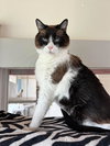 Rosie