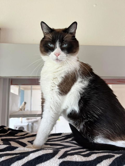 Rosie