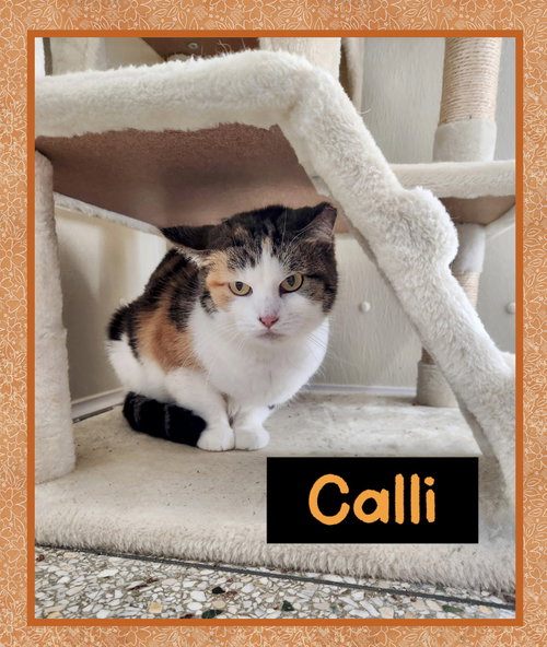 Calli